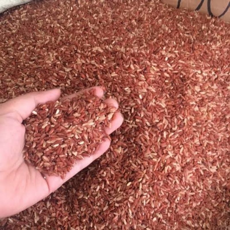 

Beras merah 1 kg