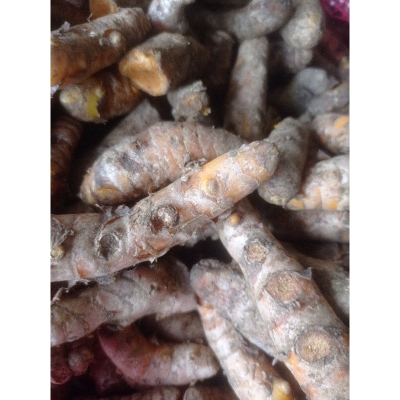 

Kunyit 500g