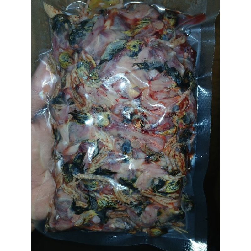 Puyuh tiebet / puyuh beku / puyuh tanpa bulu / puyuh frozen / pakan owl / Umpan galatama/ pakan rept