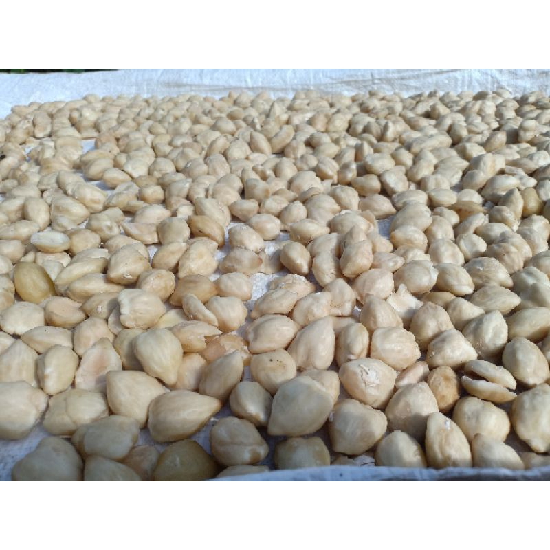 

Kemiri kupas bulat utuh 500gr