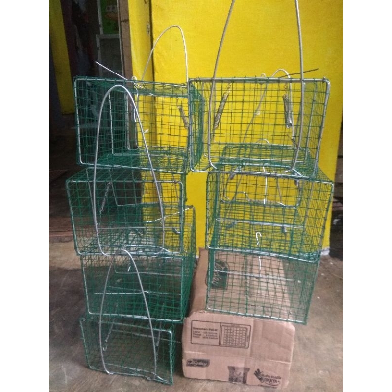 perangkap tikus paling ampuh, jebakan tikus