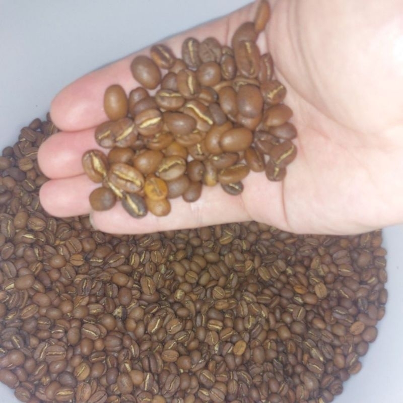 

ARABIKA Bali Kintamani 200 Gr Premium Quality Coffee Beans