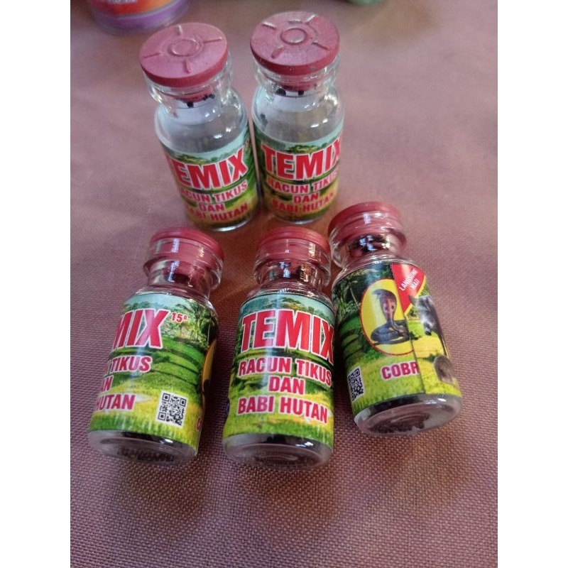 TEMIX-RACUN TIKUS DAN BABI TEMIX MATI DI TEMPAT RACUN TIKUS