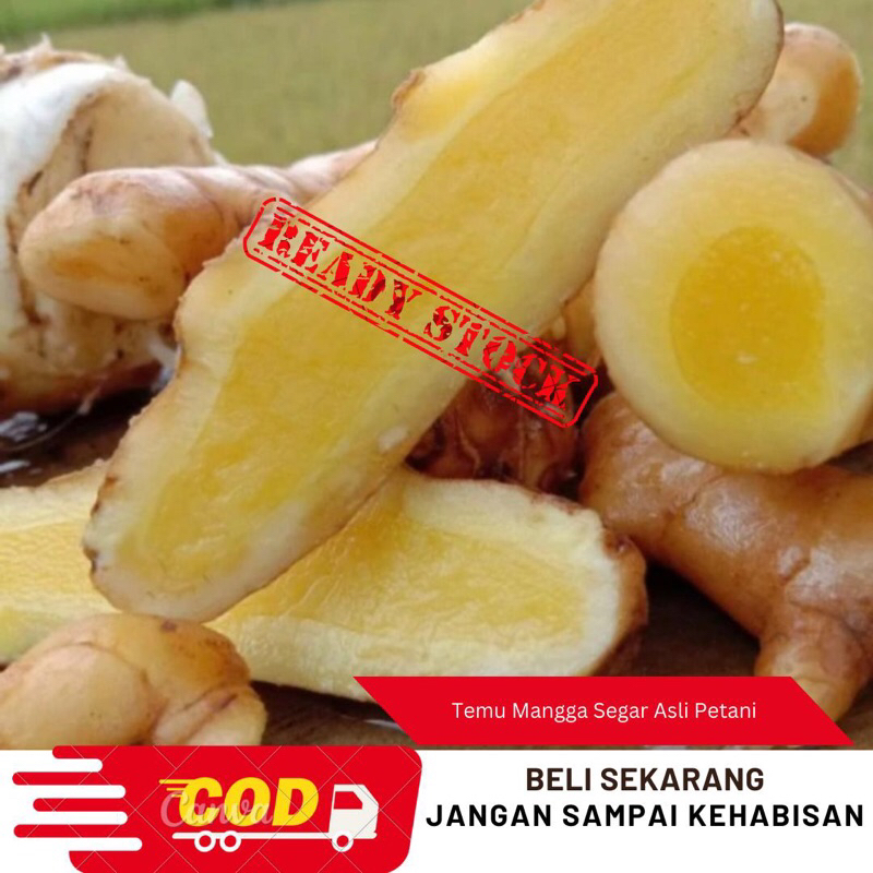 

Promo 500gram Temu Mangga segar asli dari petani