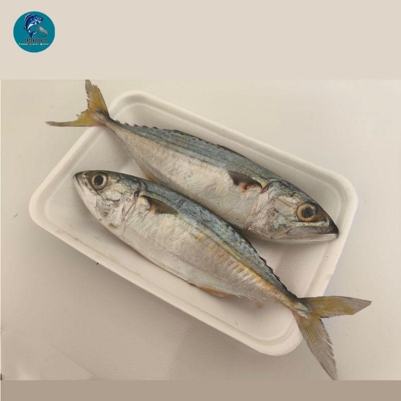 

Ikan Kembung Banjar (1Kg isi 6/7)