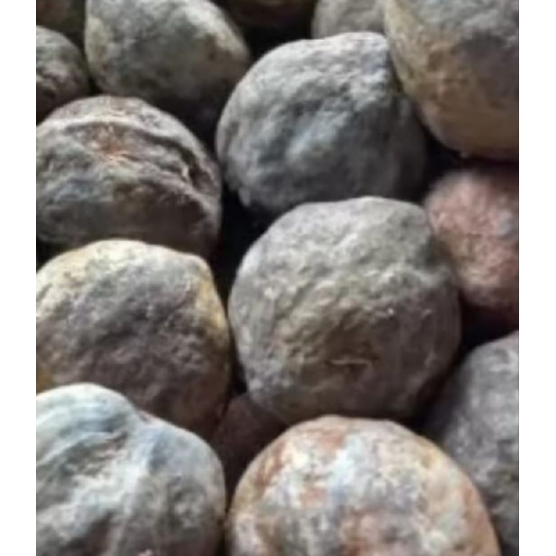 

Buah KEMIRI utuh ,masih ada batok nya ,Murah