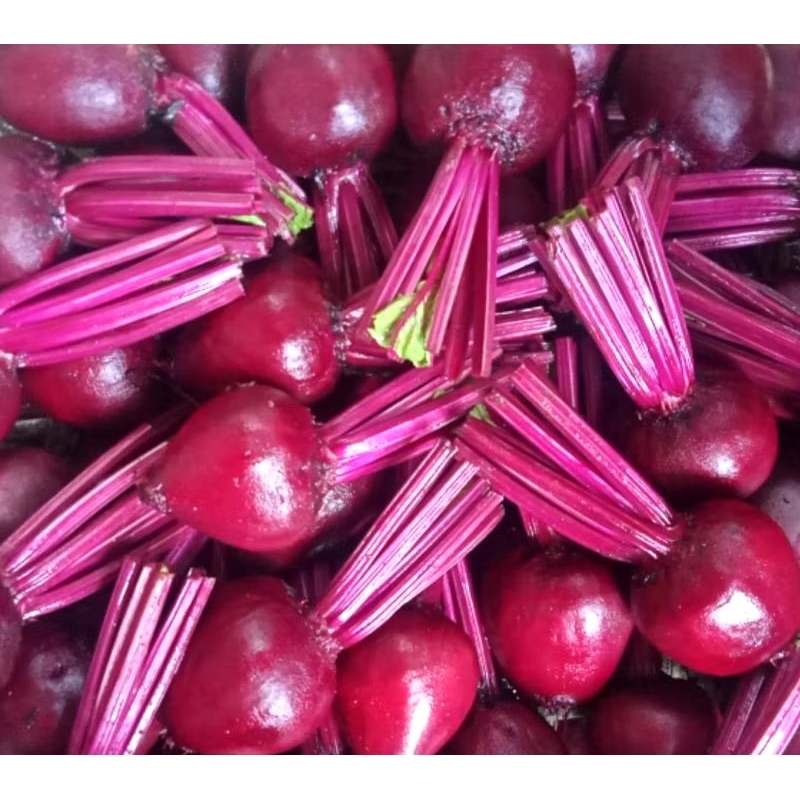

Best Seller 1 KG Buah Bit Beet Fresh Petik Kebun
