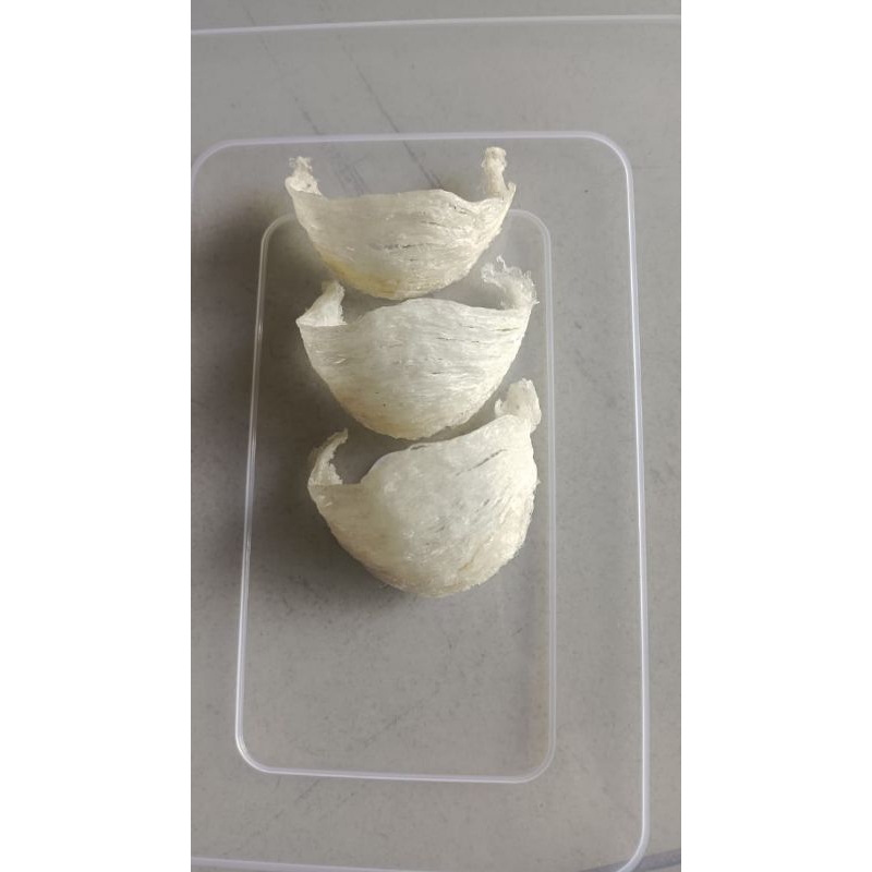

walet mangkok isi 3 buah