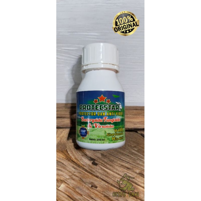 PROTECSTAR 250ML BACTERYSIDA FUNGISIDA & VIRUSIDA