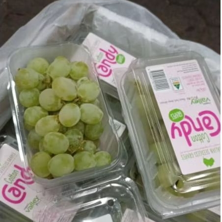 

Anggur Hijau Cotton Candy Pack