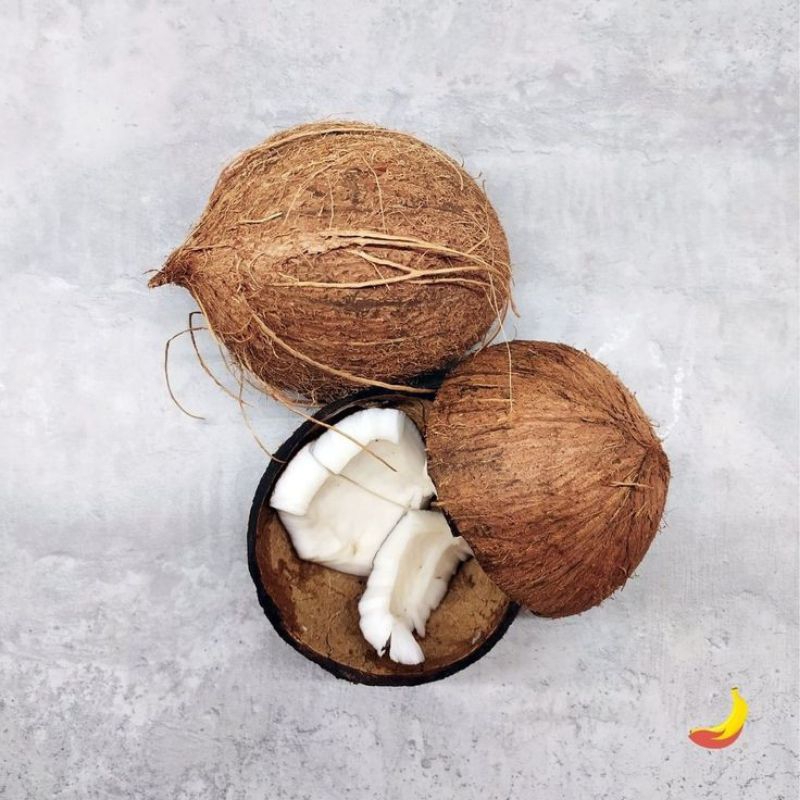 

KELAPA TUA UNTUK SANTAN - 1 BUTIR