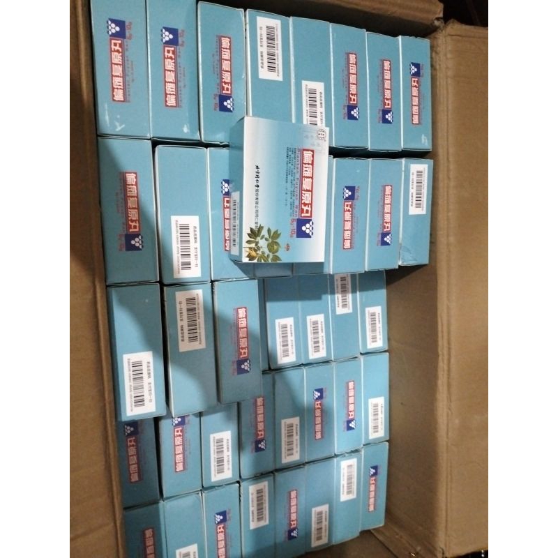 PIANTAN FUYUAN WAN PIAN TAN FU YUAN WAN PIENTAN PIEN TAN - OBAT STROKE ORIGINAL IMPORT