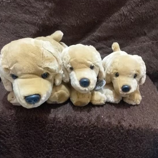 Boneka Anjing Golden Ekslusive