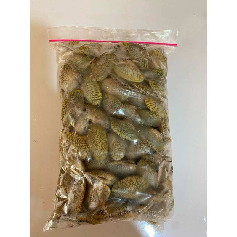 

Kerang Batik Fresh Frozen - Ukuran 1kg