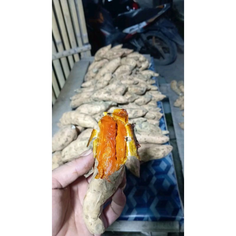 

umbi madu premium cilembu super manis mentah 1kg