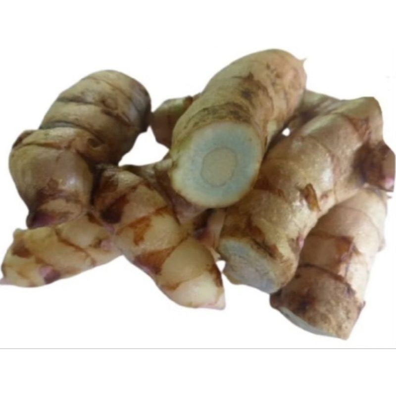 

Temu Putih Segar Asli Alami 1000 grm