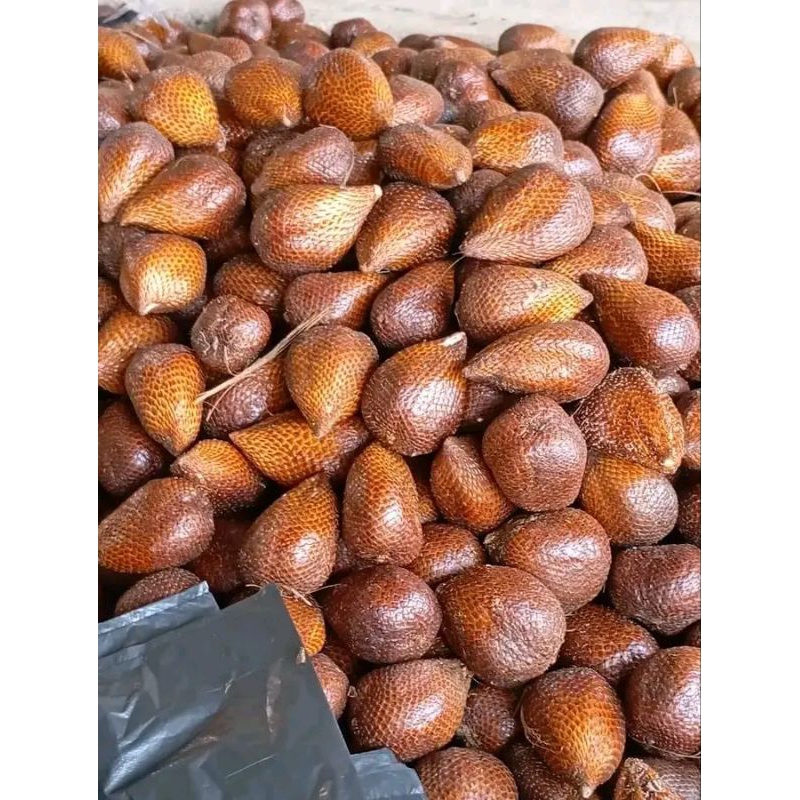 

salak murah