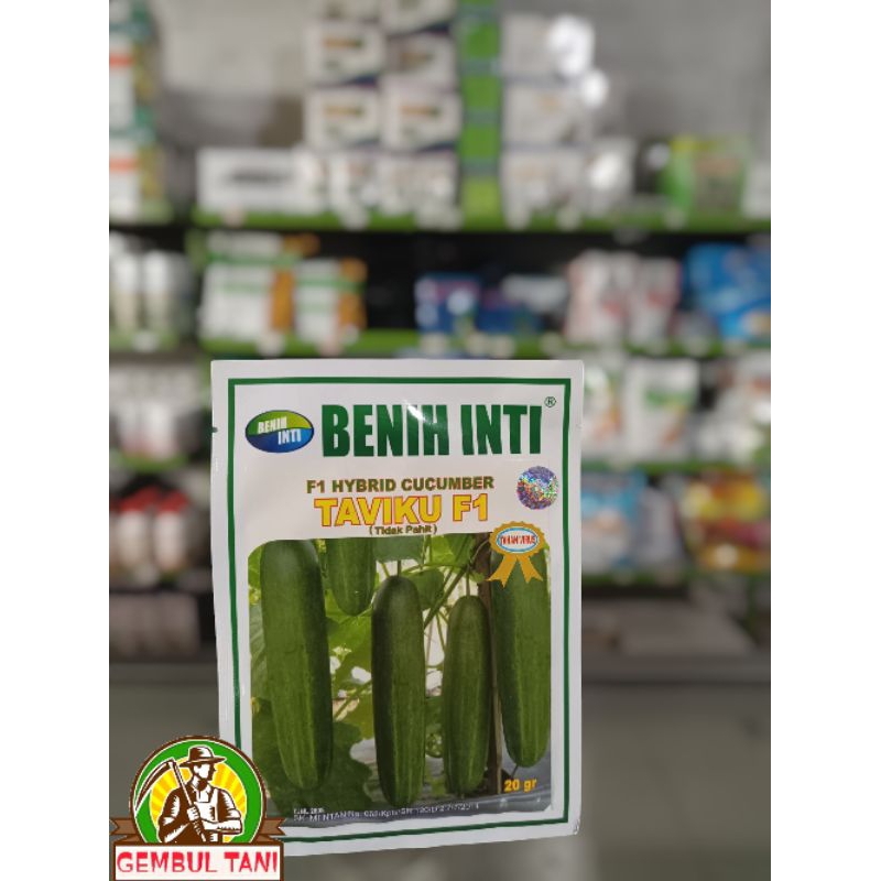 TAVIKU F1 - Benih timun - Benih inti.