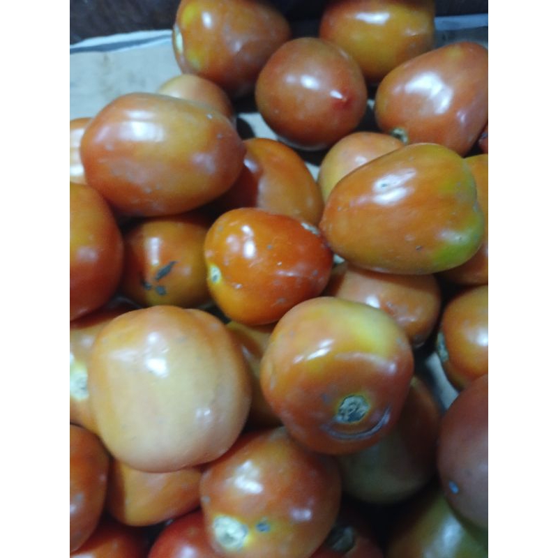

tomat merah