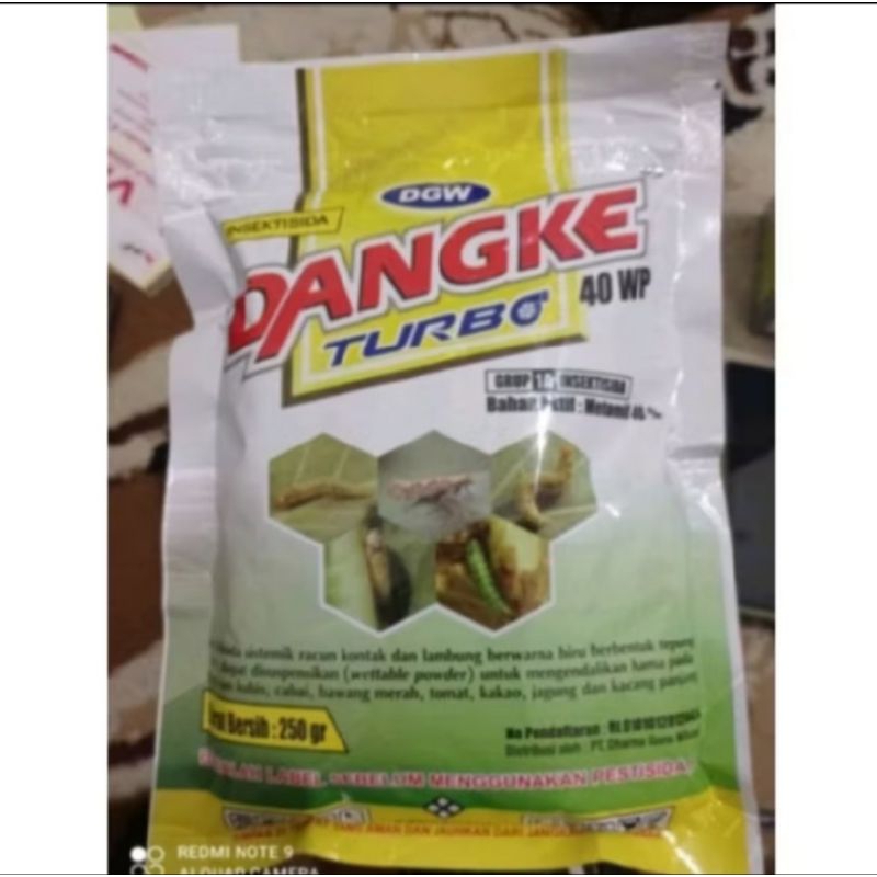 DANGKE 40 WP 250 GR