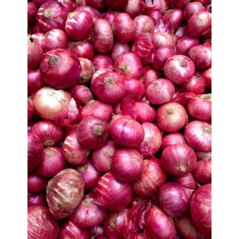 

bawang peking / india 250gr