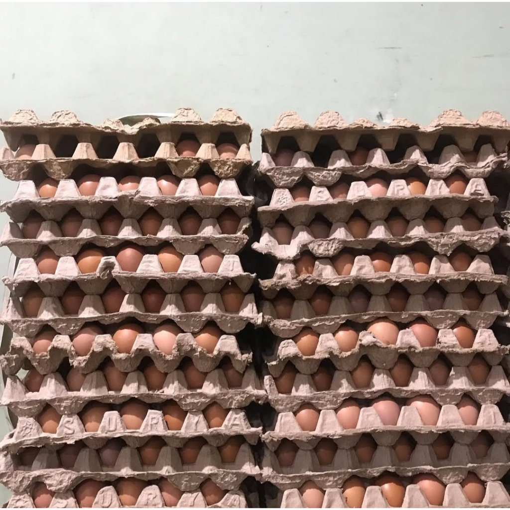 

Telur Ayam Negeri PREMIUM - 30 pcs GRADE A Fresh Bersih Kualitas Terbaik