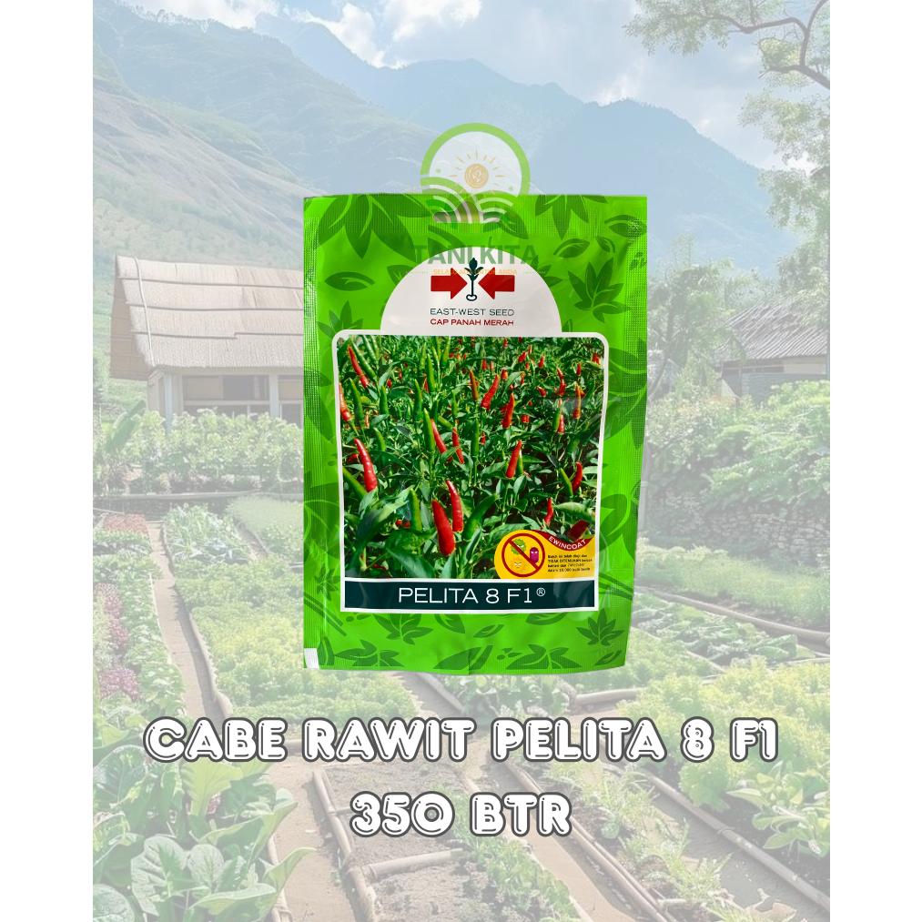 BIBIT CABAI RAWIT PELITA 8 F1