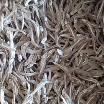 

Ikan Teri Jengki Super(500 gram/1000 gram)