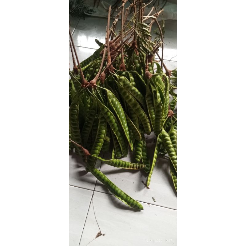 

10 PAPAN PETE LOKAL PETE SEGAR TOP MARKTOP