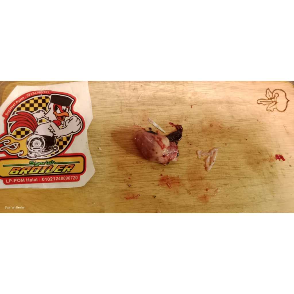 

JANTUNG AYAM SYARIAH BROILER SERTIFIKASI HALAL & LAB