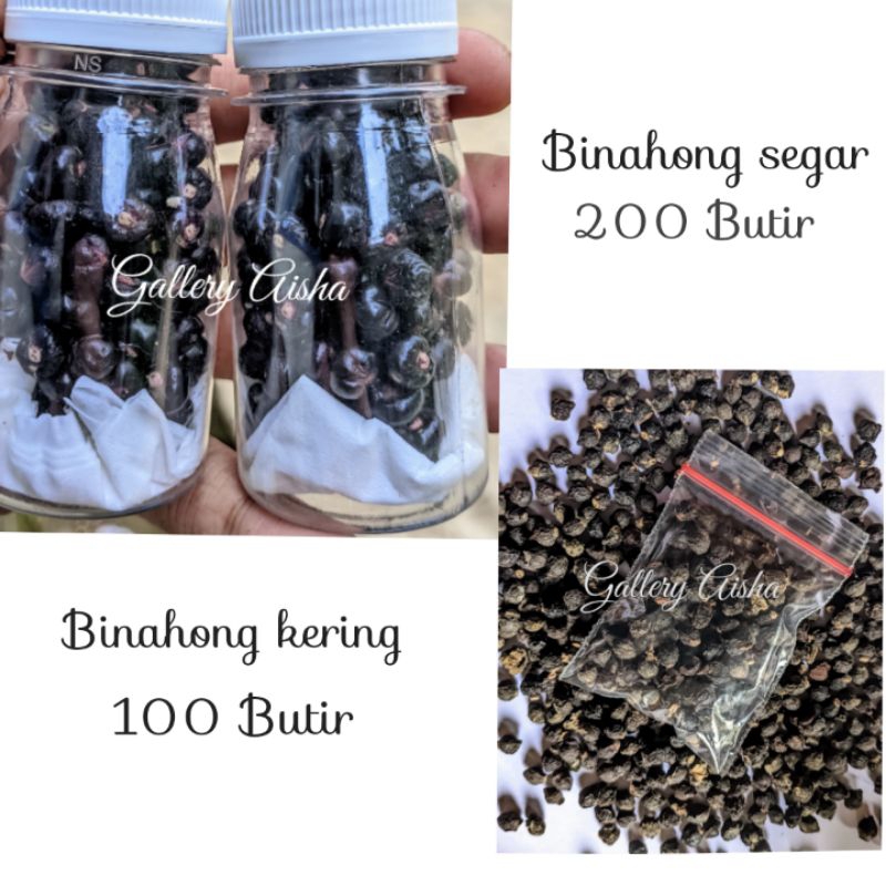 Buah Binahong atau buah angkung obat herbal penyakit stroke