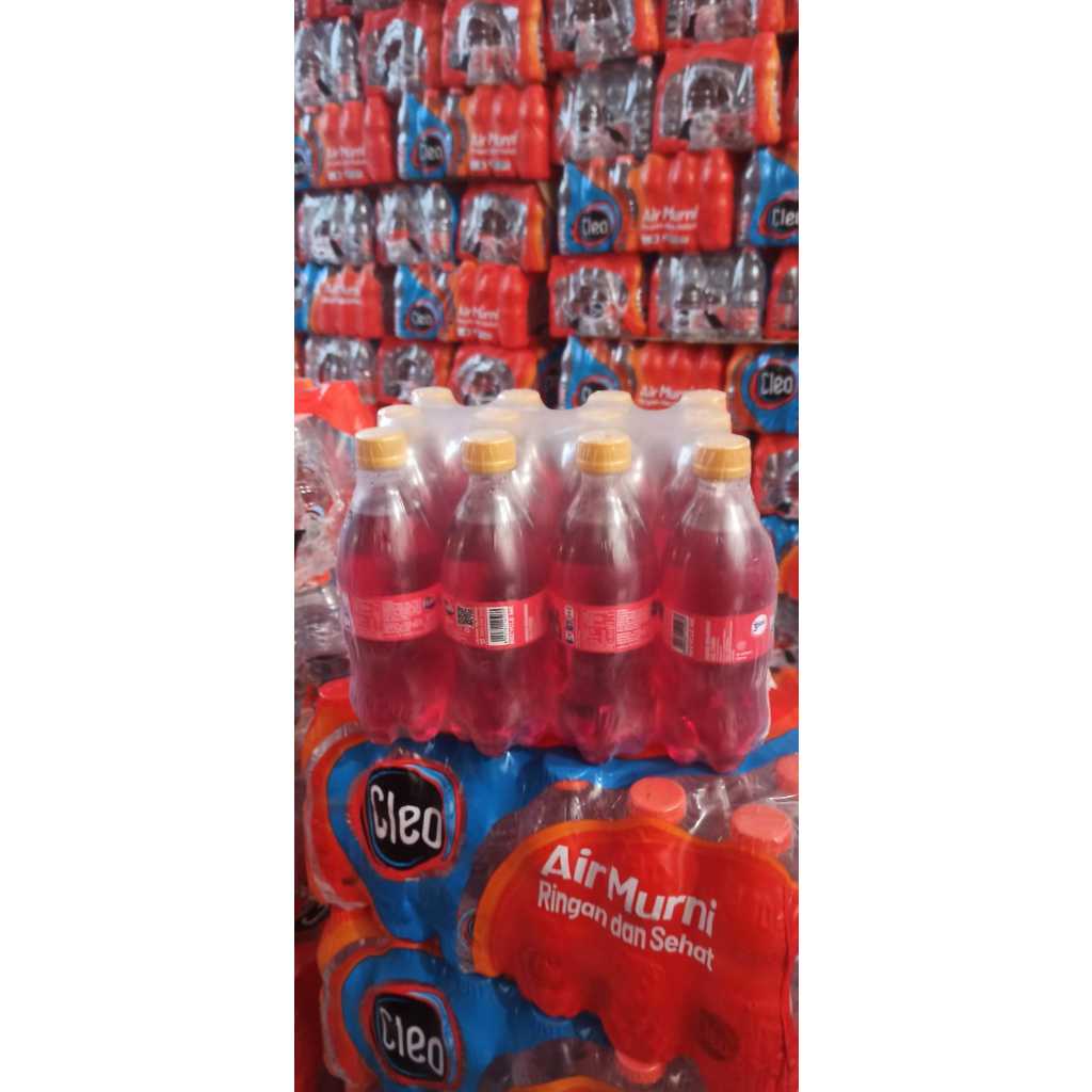 

Fanta 250ml isi 12 Botol