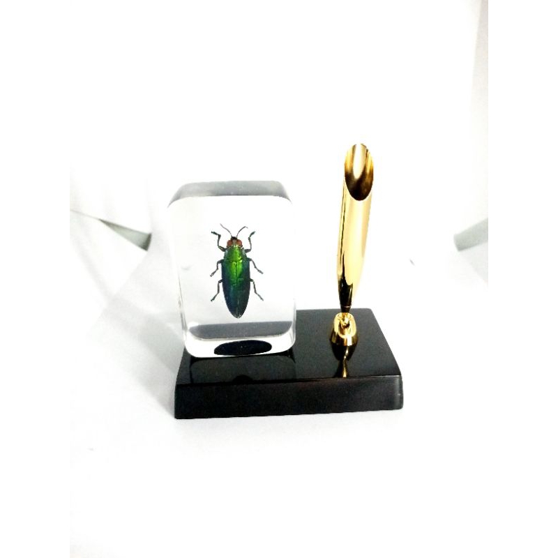 

Tempat pena/pen holder Samber lilin/samber iler