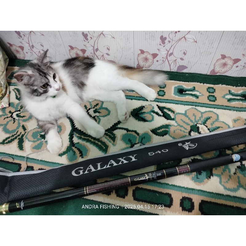 JORAN TEGEK ORCA GALAXY UK 540 FREE GIFT