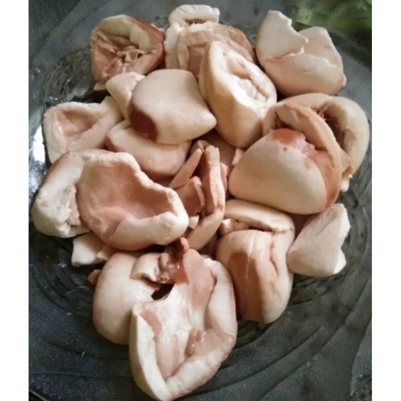 

Picung Muda Mentah/Kluwek Muda 1kg