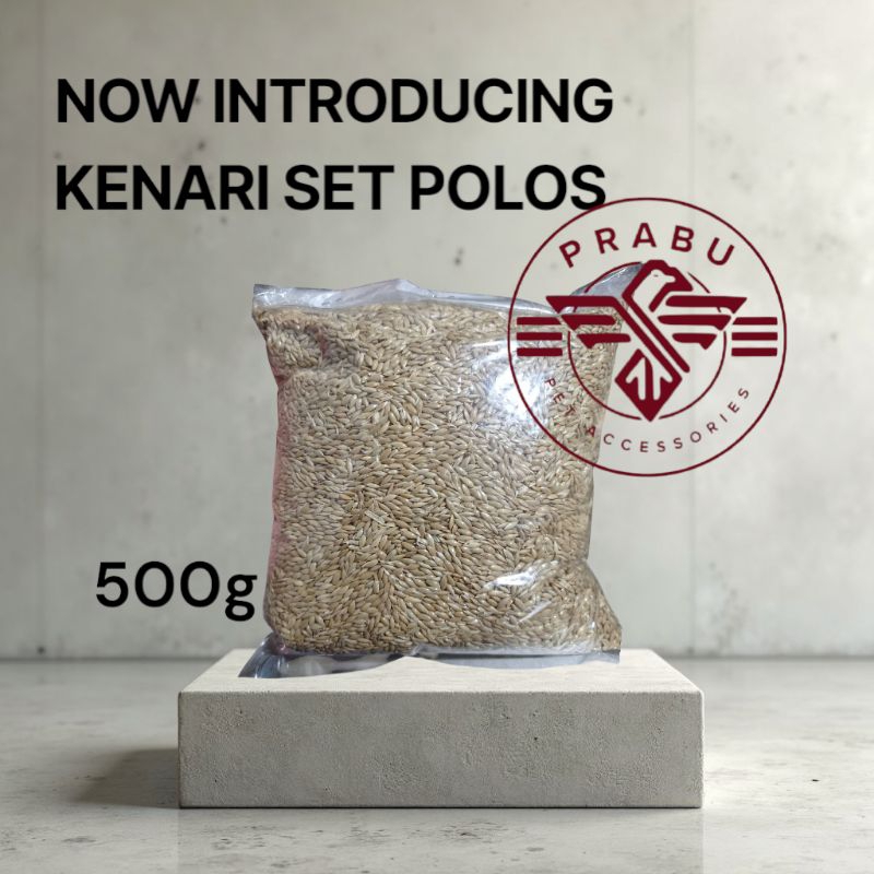 KENARI SEED KILOAN 500g Pakan burung kenari polosan