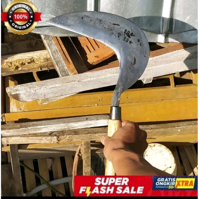 

alatkbunbajaqliaritrumput