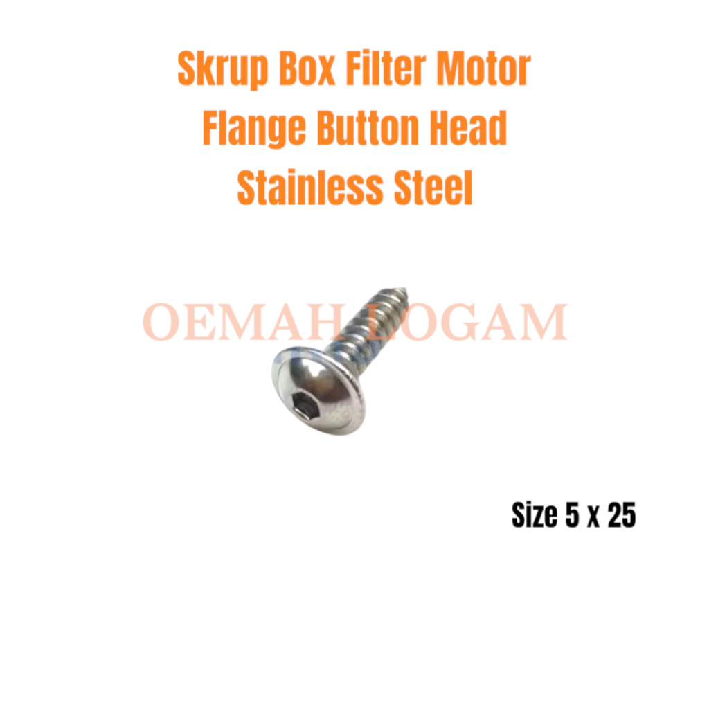 BAUT L SKRUP BOX FILTER 5 x 25 UNIVERSAL FLANGE BUTTON HEAD STAINLESS