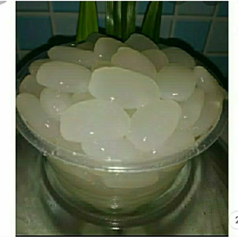 

kolang-kaling segar mentah 3 kg