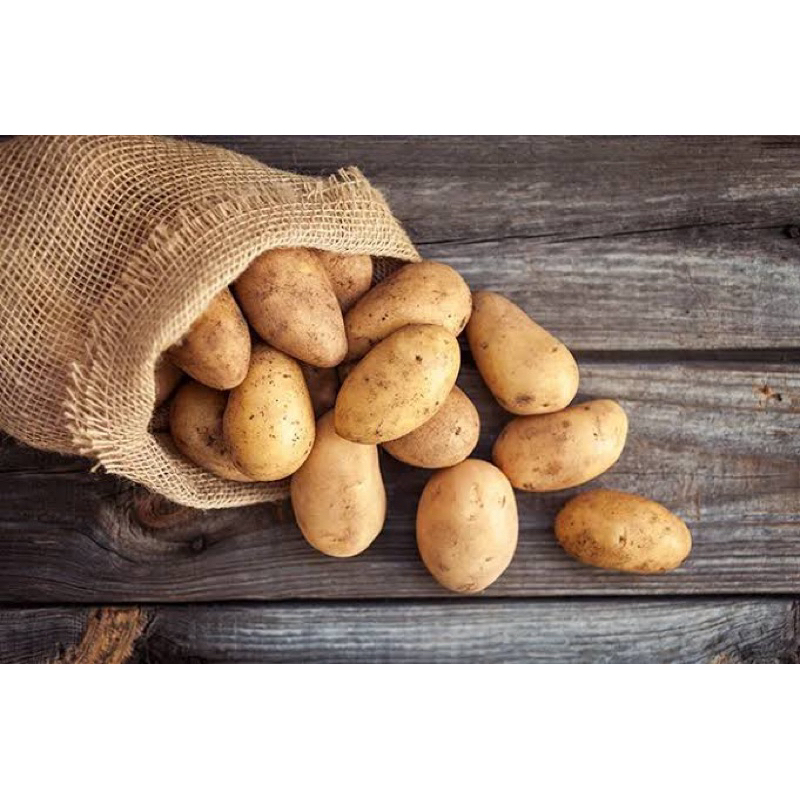 

Kentang Potato organik 1kg