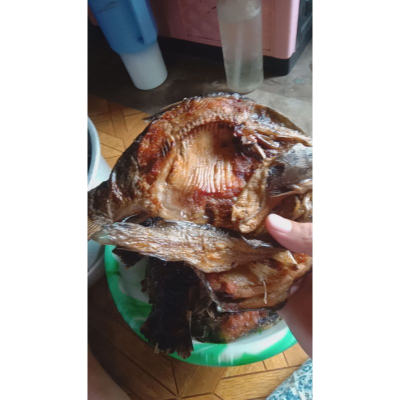 

Ikan mas sale/ Ikan mas asap