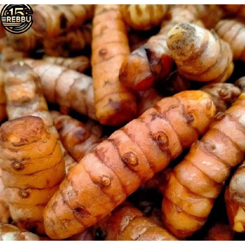 

KUNYIT KUNUR MURAH 1KG FRESS