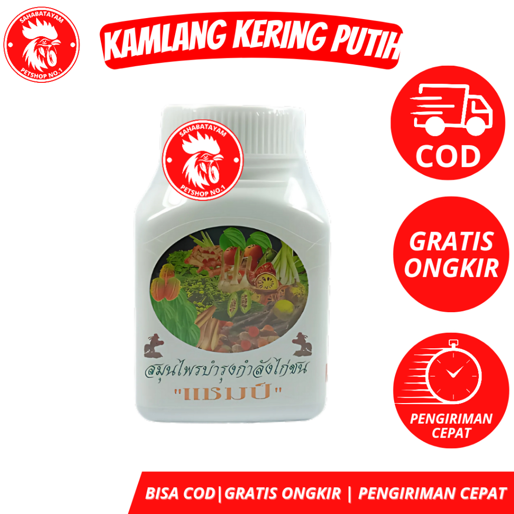 Kamlang Kering Putih Kamlang Ori Thailand Kamlang Kering Rempah