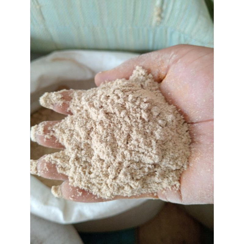dedak ayam / bekatul