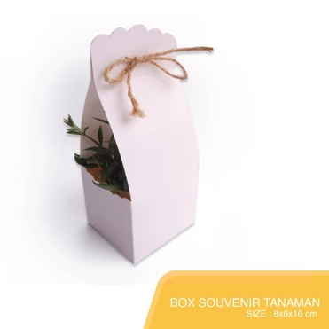 

box putih ivory kemasan hampers wedding pengajian ultah kotak packing tanaman kaktus sukulwn mini 8x8x16 cm