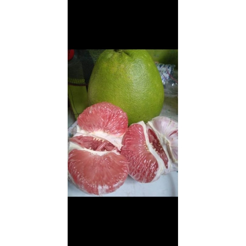 

jeruk pamelo madu khas muria berat 1kg