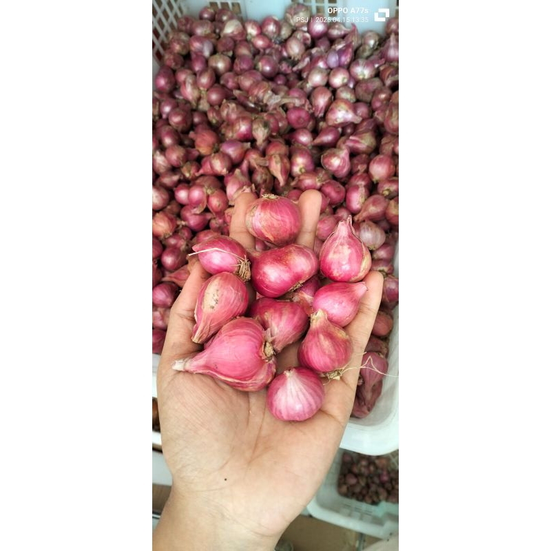 

bawang merah 1kg