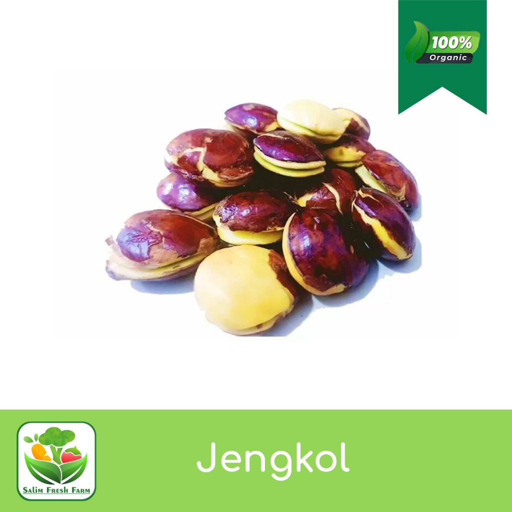 

Jengkol Lalap / Jengkol Mentah / Jengkol 1kg