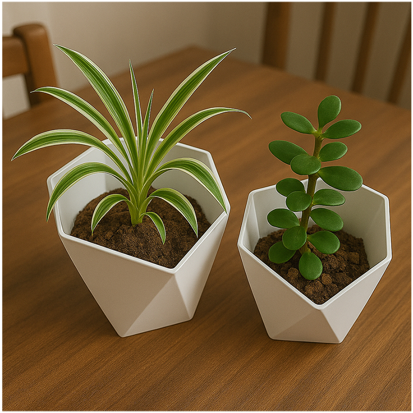 Gaardeen Koi Official - Pot Queen/Pot Bunga Plastik Hexagon Unik Pot Tanaman Indoor Dan Outdoor 25Cm