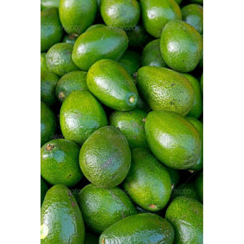 

Alpukat Mentega legit Premium 1 kg isi 345
